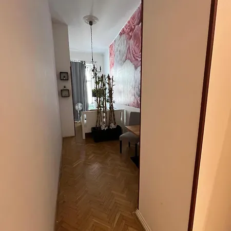 Spring Roses Downtown Boutique On The Famous Vaci Fashion Street Free Coffee, Tee Apartment *