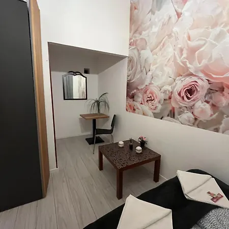 Apartment Spring Roses Downtown Boutique On The Famous Vaci Fashion Street Free Coffee, Tee *